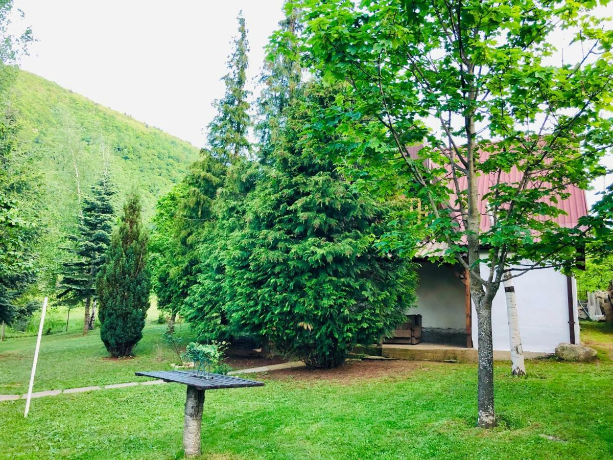Villa Orka Pelister - Forest Zone Битоля Екстериор снимка