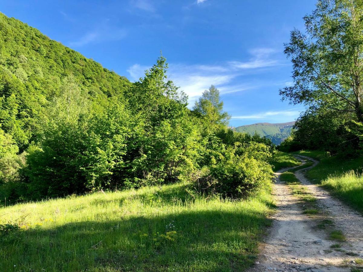 Villa Orka Pelister - Forest Zone Битоля Екстериор снимка