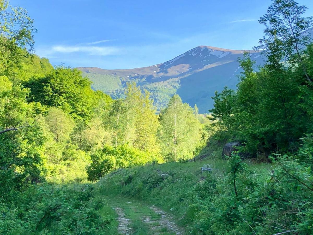 Villa Orka Pelister - Forest Zone Битоля Екстериор снимка